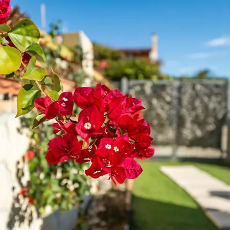 Apartament Porru By Interhome Capitana